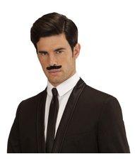 Skægark forskellige farver