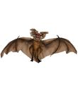 Flagermus med brune vinger 60 cm