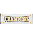 Banner Champions 74x220 cm.