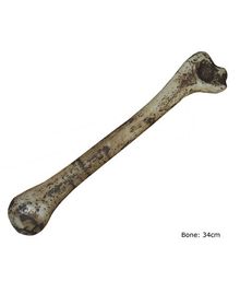 Knogle