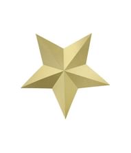 Guld dekoration stjerner.