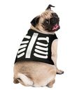 Skelet kostume til hund