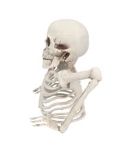 Skelet ground breaker 20 cm
