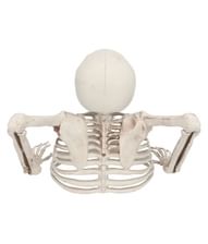 Skelet ground breaker 20 cm