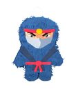 Ninja pinata 