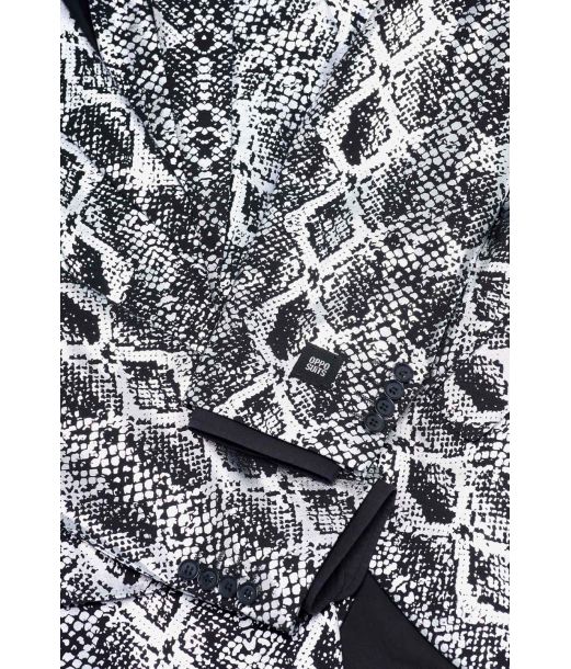 Silver Snake 46