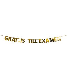 Guirlande Grattis till examen 3,6M
