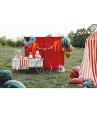 Cirkus fødselsdags banner 2,1 M