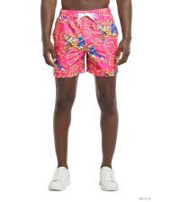 Dragon Ball Z sommersæt S