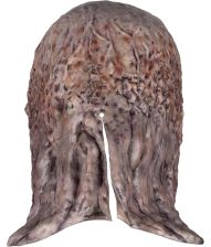 Vecna maske