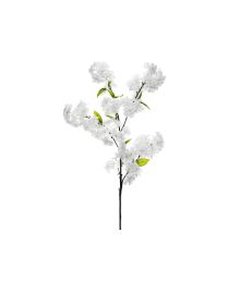 Körsbärsgren med blomma, 1 st