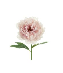 Rosa Bonderos, 1 st