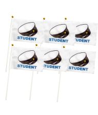 Svensk student flag 6stk 