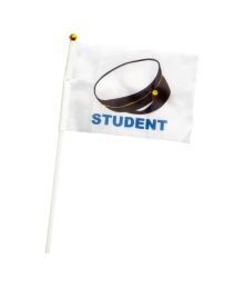 Svensk student flag 6stk 