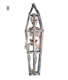 Skelett i bur, 50 cm