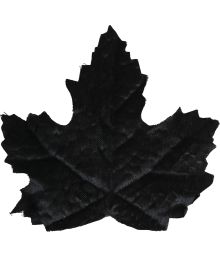 Svarta blad från pumpa, 24 st