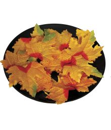 Orangea blad från pumpor, 24 st