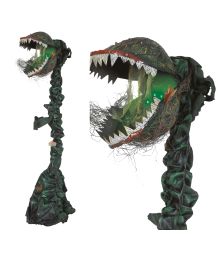 Kødædende plante Kødædende plante