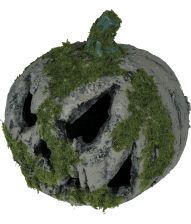 Græskar m mos 20 cm