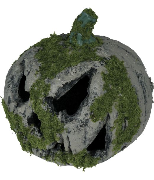 Græskar m mos 20 cm