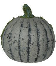 Græskar m mos 20 cm