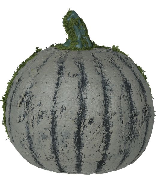 Græskar m mos 20 cm
