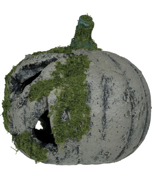 Græskar m mos 20 cm