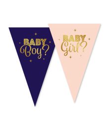 Vimpelguirlande Boy Or Girl, 10m 