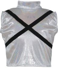 K-Pop star Silver leader S