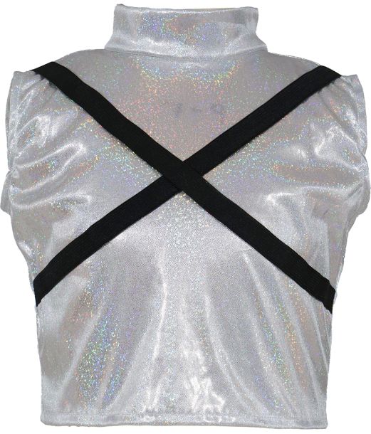 K-Pop star Silver leader S