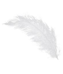 Strudsefjer 50 cm Hvid PR STK