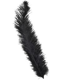 Svarta strutsfjädrar 45-65 cm, 12 st