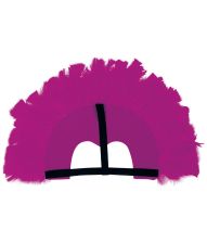 Fuchsia fjerprydelse