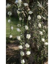 Hvid rose guirlande 120 cm 