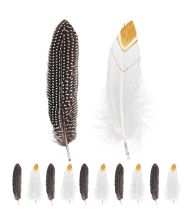 Indianerfjer 12 stk.