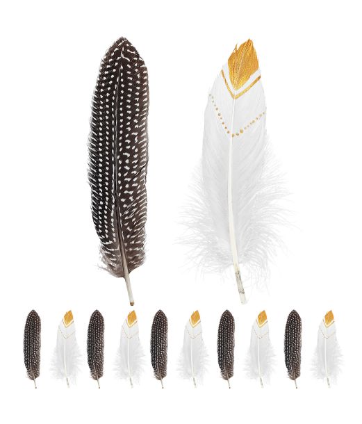 Indianerfjer 12 stk.