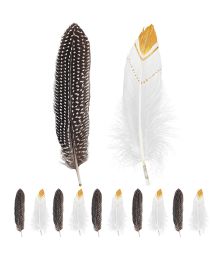 Indianerfjer 12 stk.