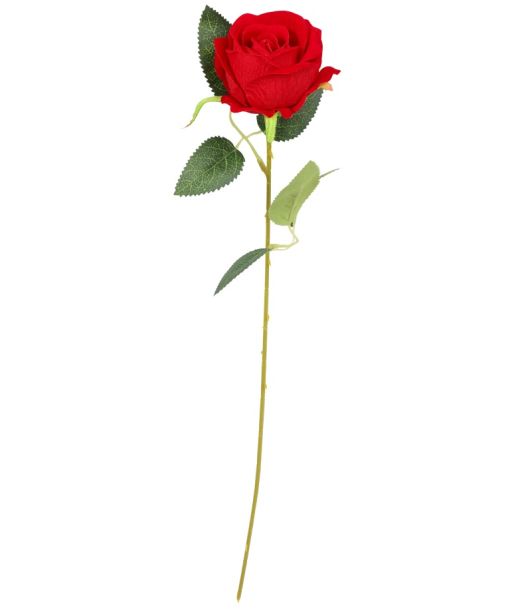 Rød rose, 50 cm