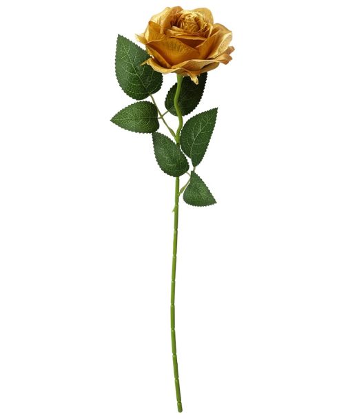 Guld rose, 50 cm