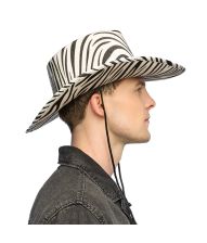 Cowboyhat zebra