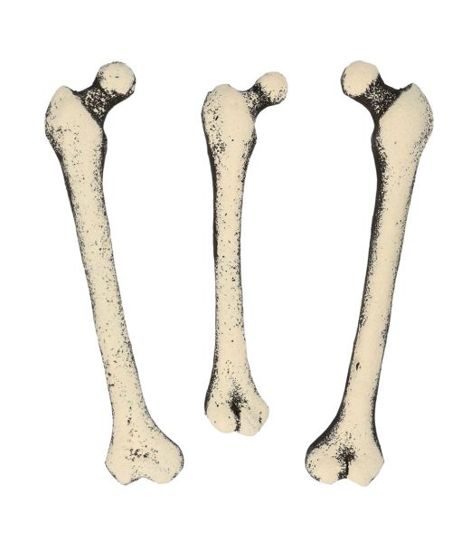Dekoration för kista med mumie, 69 cm