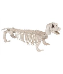 Gravhund skelet